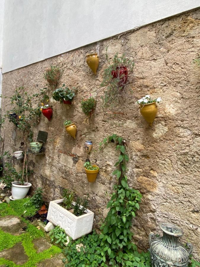 Villa Rosa Béziers Dış mekan fotoğraf