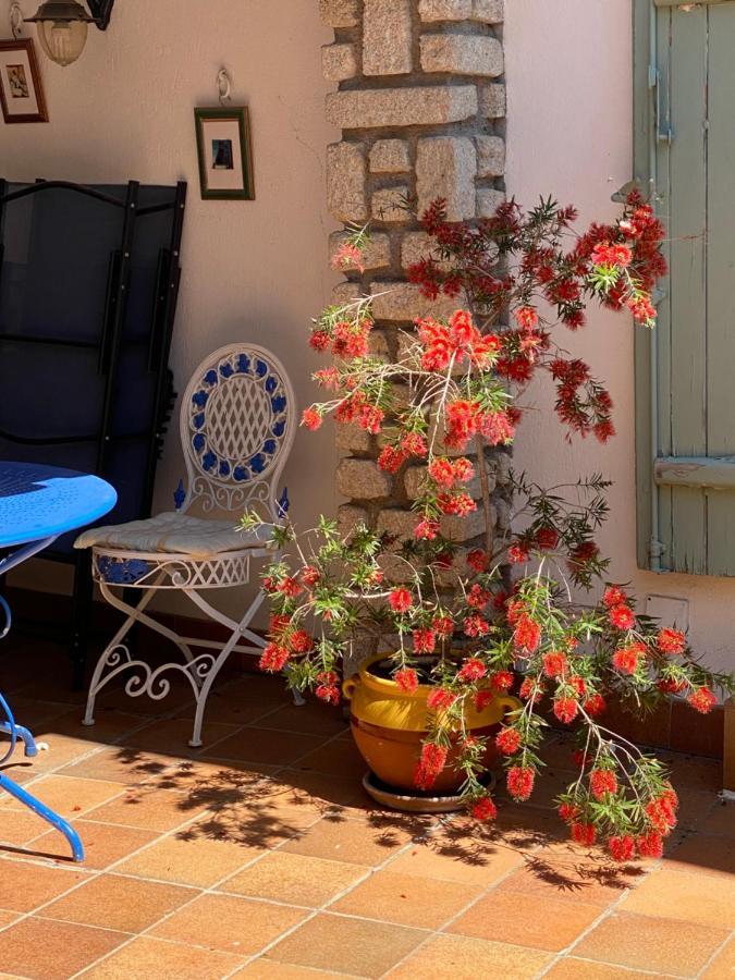 Villa Rosa Béziers Dış mekan fotoğraf