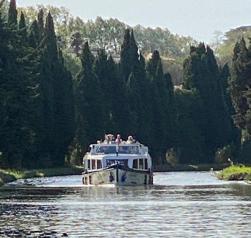 Villa Rosa Béziers Dış mekan fotoğraf