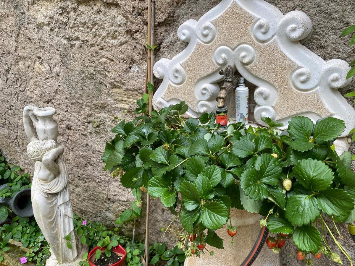 Villa Rosa Béziers Dış mekan fotoğraf